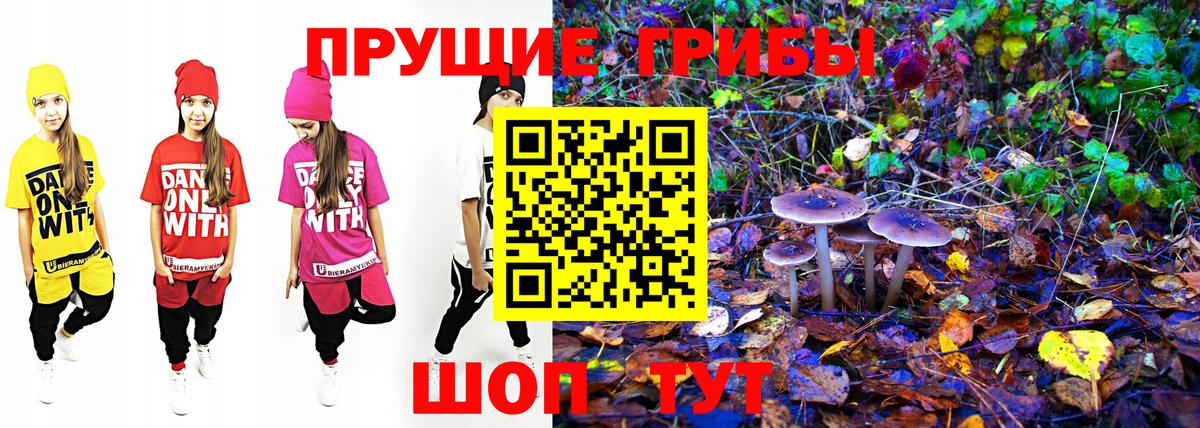 Псилоцибиновые грибы Cubensis  цена   Муром  Вход с VPN 