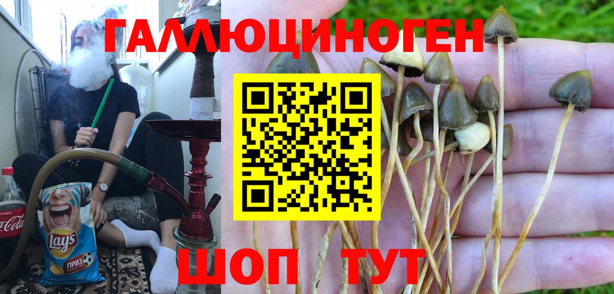 Псилоцибиновые грибы Cubensis Муром